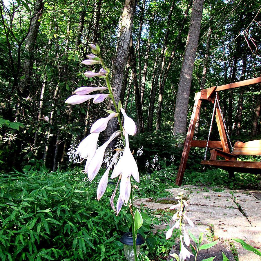 Red Leaf River Inn Waynesville Ngoại thất bức ảnh